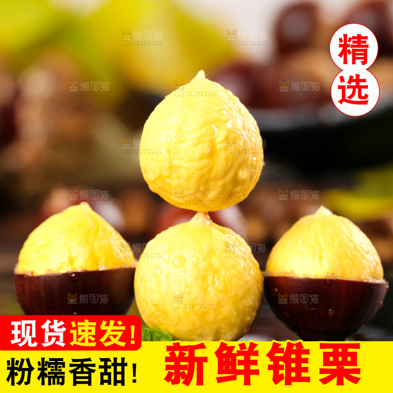 黑底上的栗子和锥栗仁