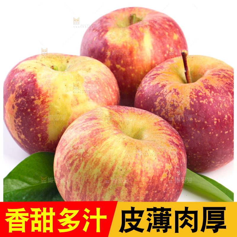 白底上的盐源丑苹果