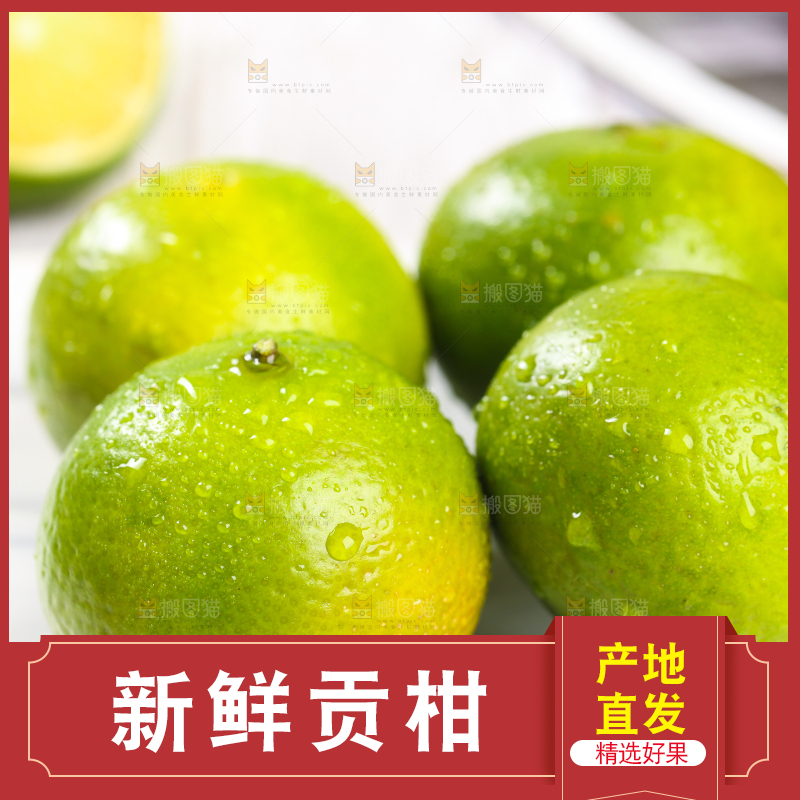 白底上的武鸣皇帝柑