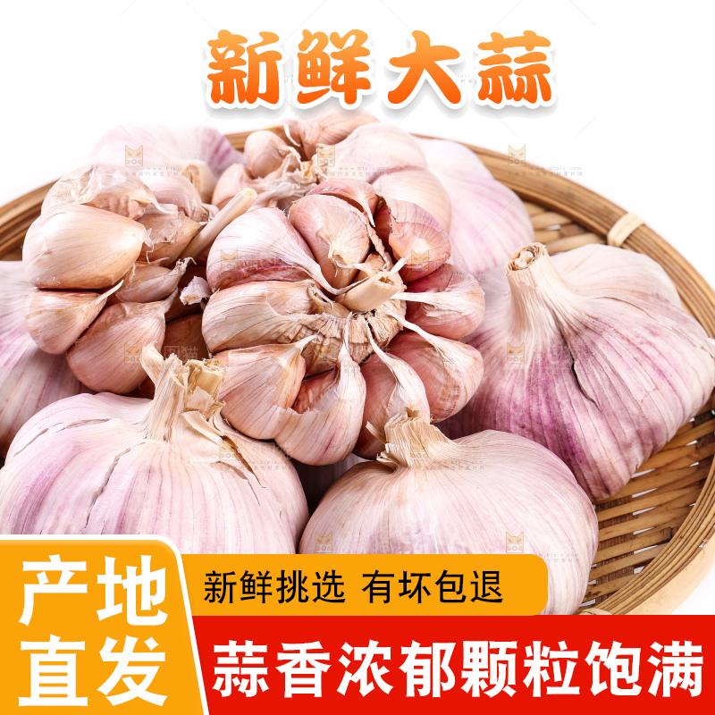 白底上放着一篮山东大蒜头