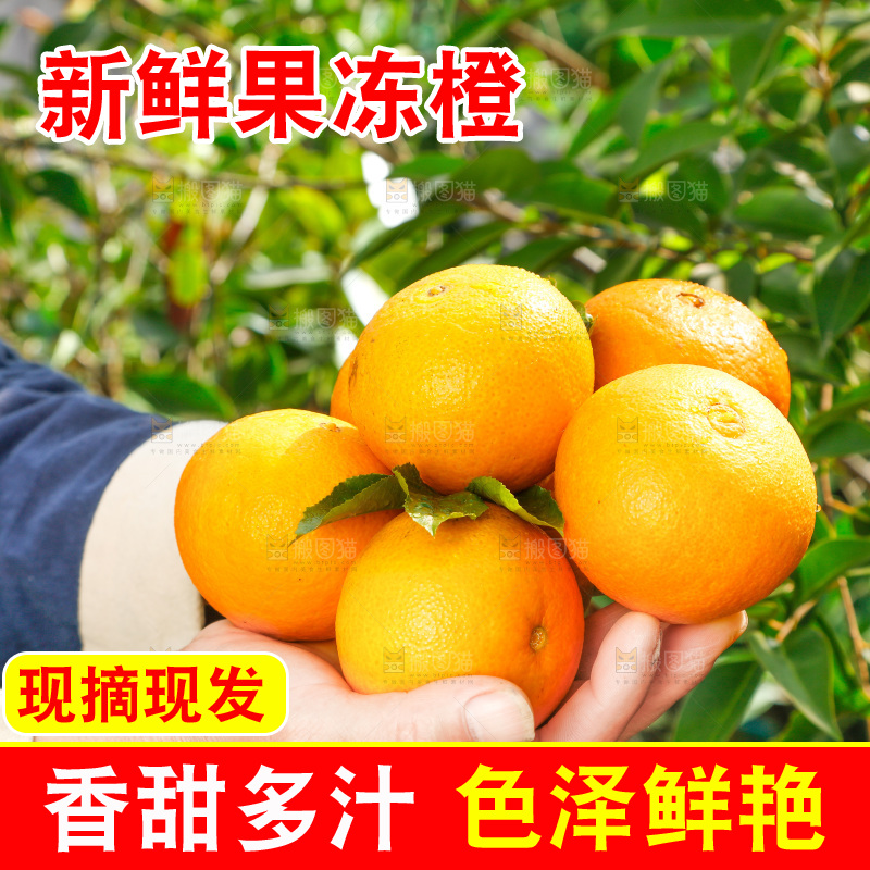 手上捧着爱媛