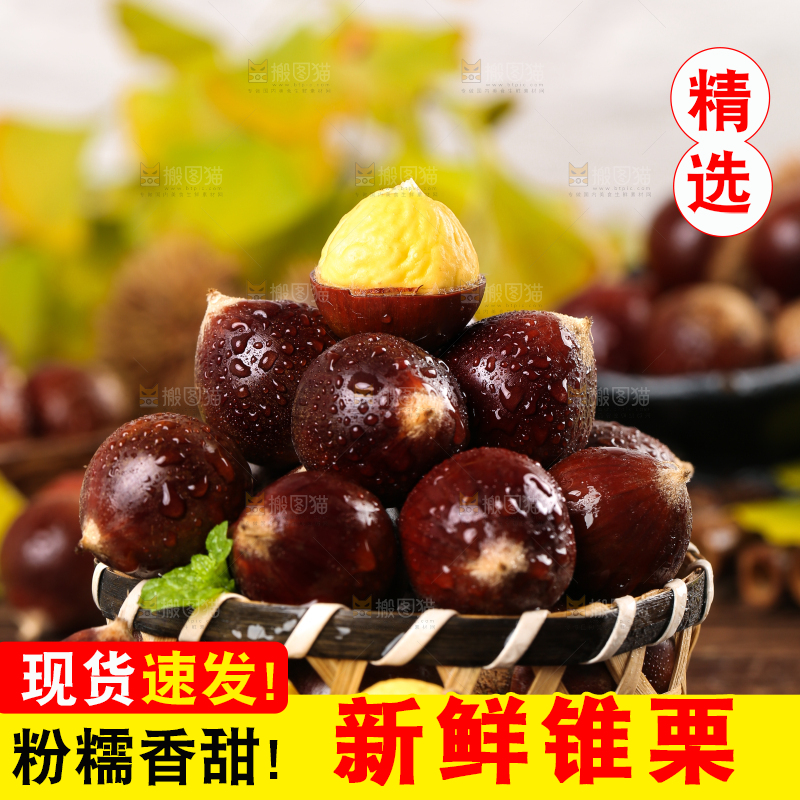 黑底上一篮建瓯锥栗