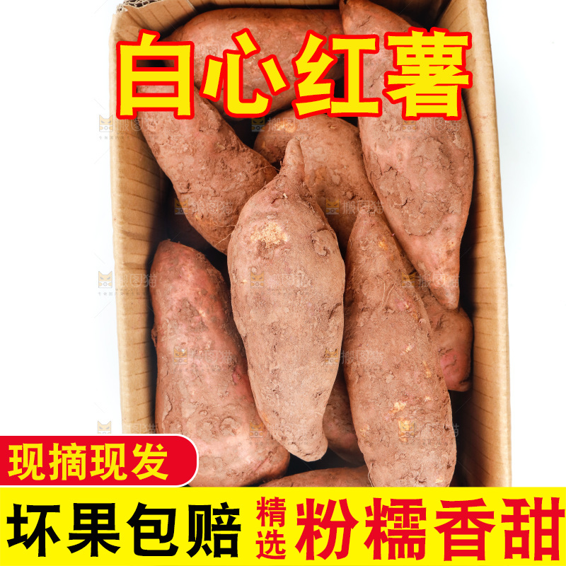 白底上放着一箱板栗红薯