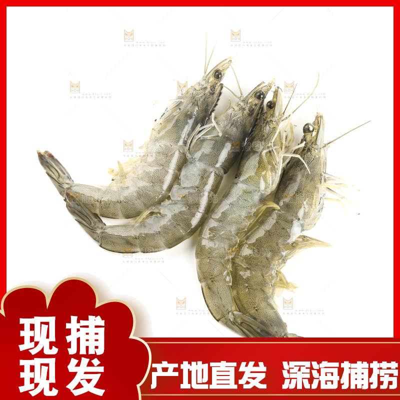 白底上的基围虾