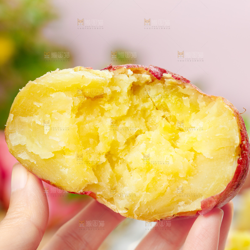 手上拿着黄心红薯