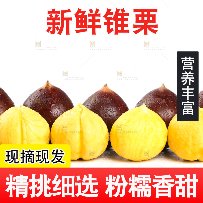 白底上放着锥栗和锥栗仁