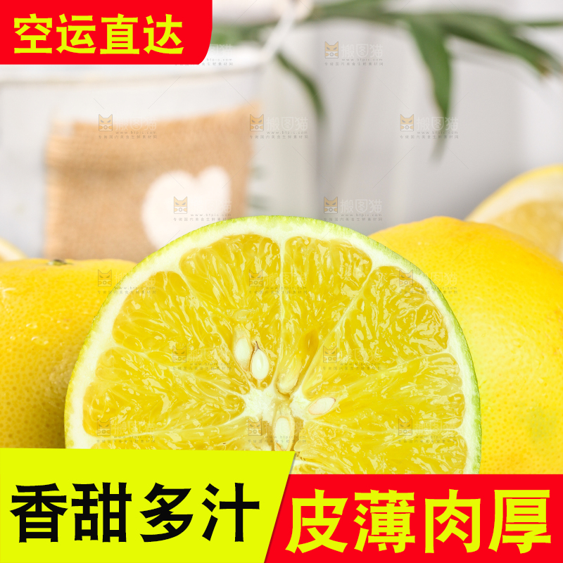 白底上一盘鸡尾葡萄柚