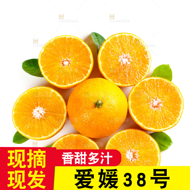 白底上放着一堆四川爱媛