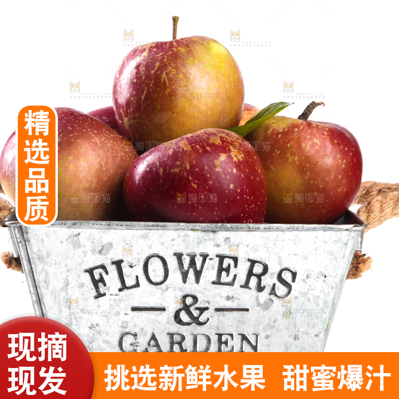 白底上一篮冰糖心丑苹果
