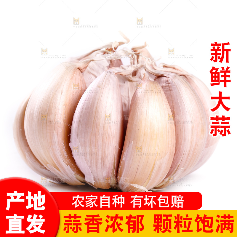 白底上的干大蒜