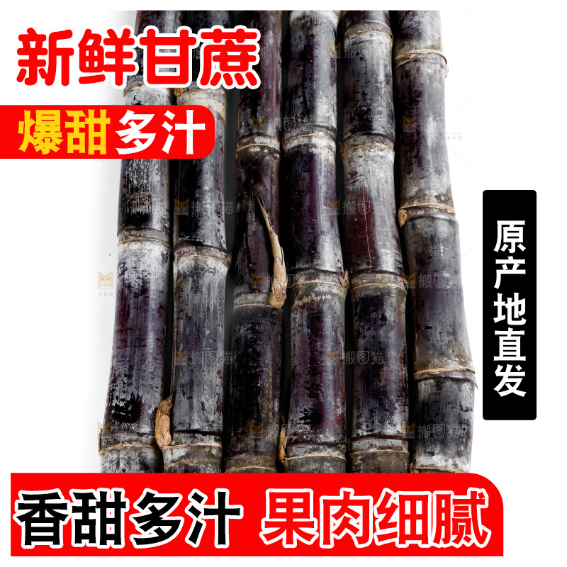 白底上的黑皮甘蔗