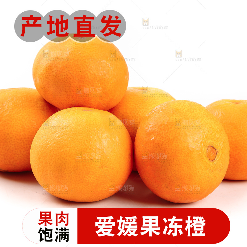 白底上一堆新鲜爱媛果冻橙