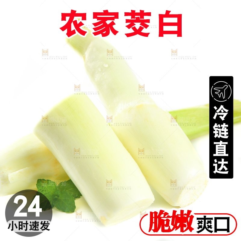 白底上的茭笋