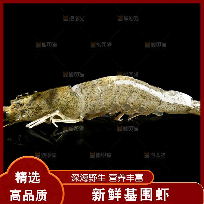 黑底上的青岛大虾