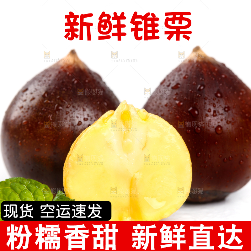 白底上的栗子和锥栗仁