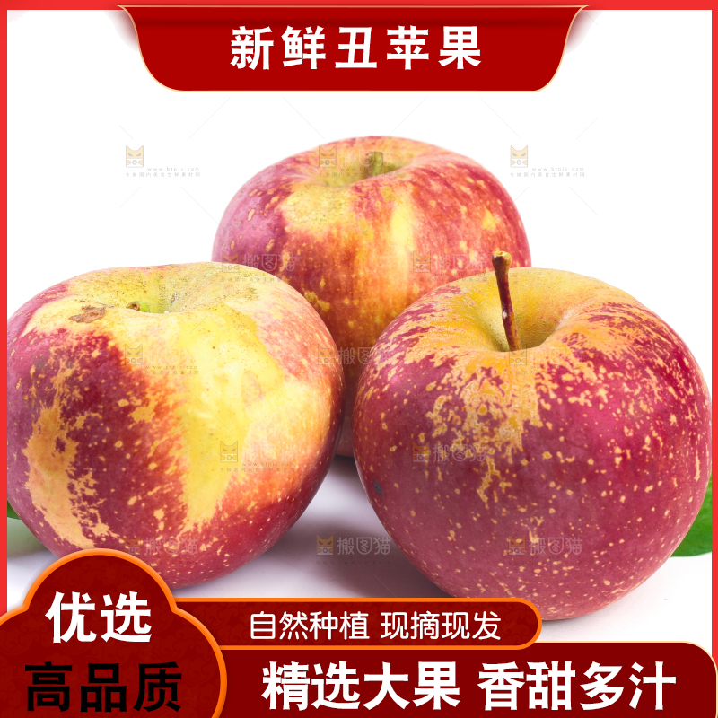 白底上的盐源丑苹果