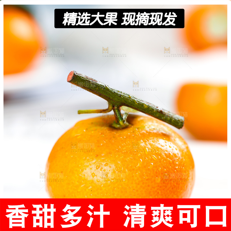 白底上的砂糖桔