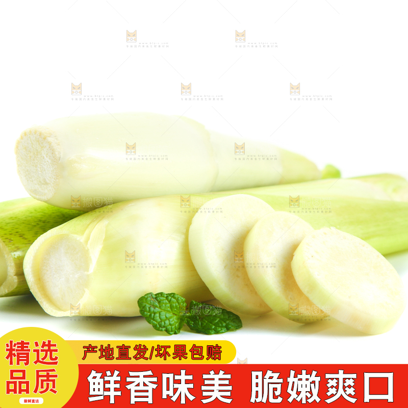 白底上放着一堆湖北新鲜茭白