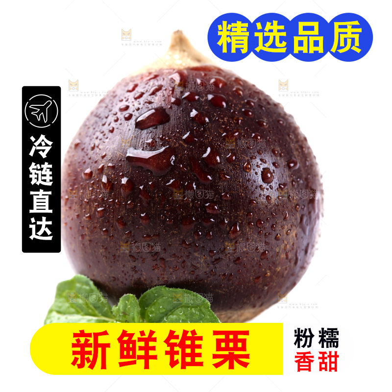 白底上放着新鲜锥栗