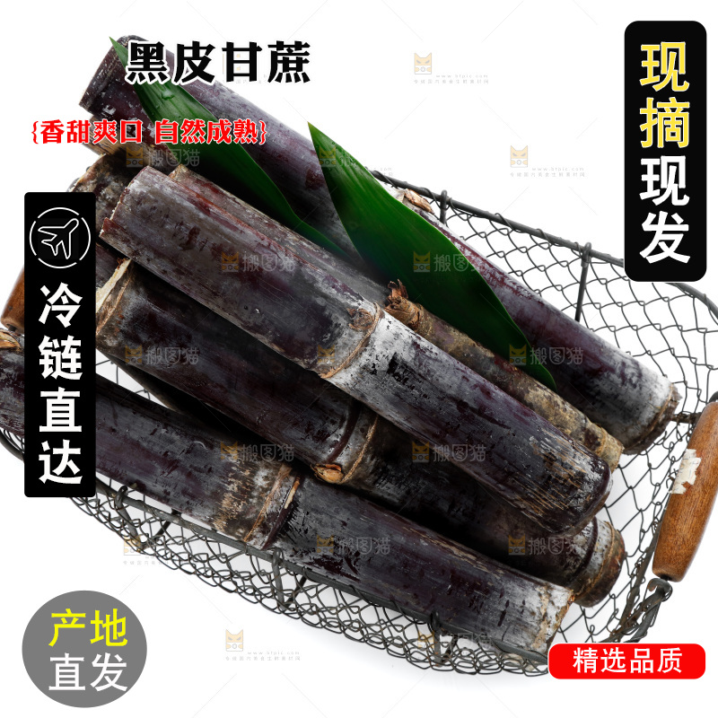 白底上篮子里的甘蔗