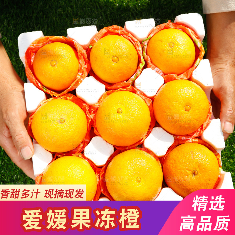 手上端着一箱新鲜爱媛果冻橙