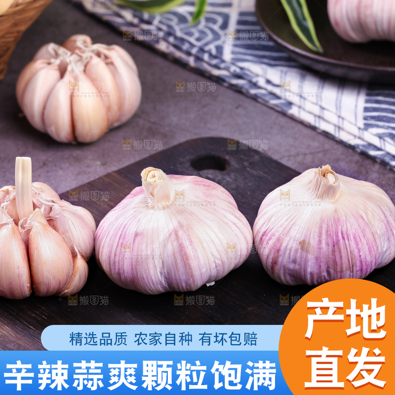 深底上的大蒜头