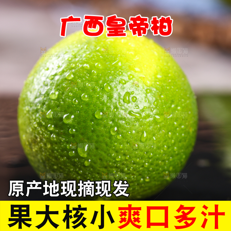 黑底上的广西武鸣皇帝柑