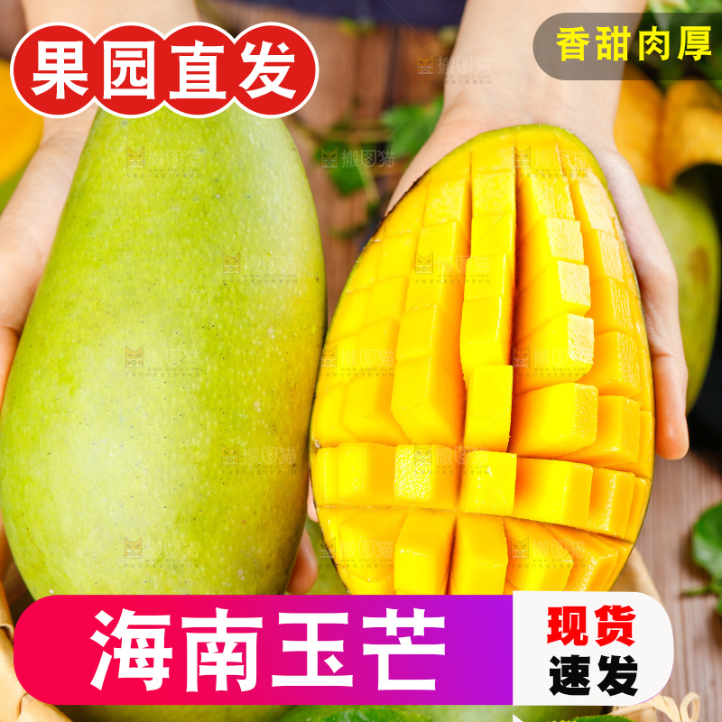 芒果主图