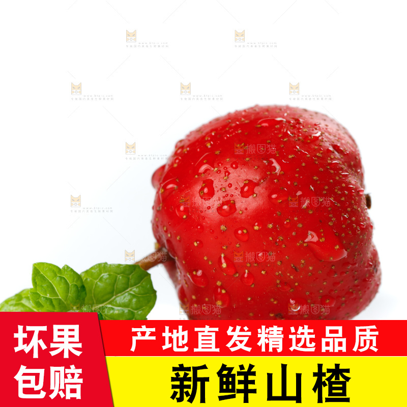 白底上的山楂果