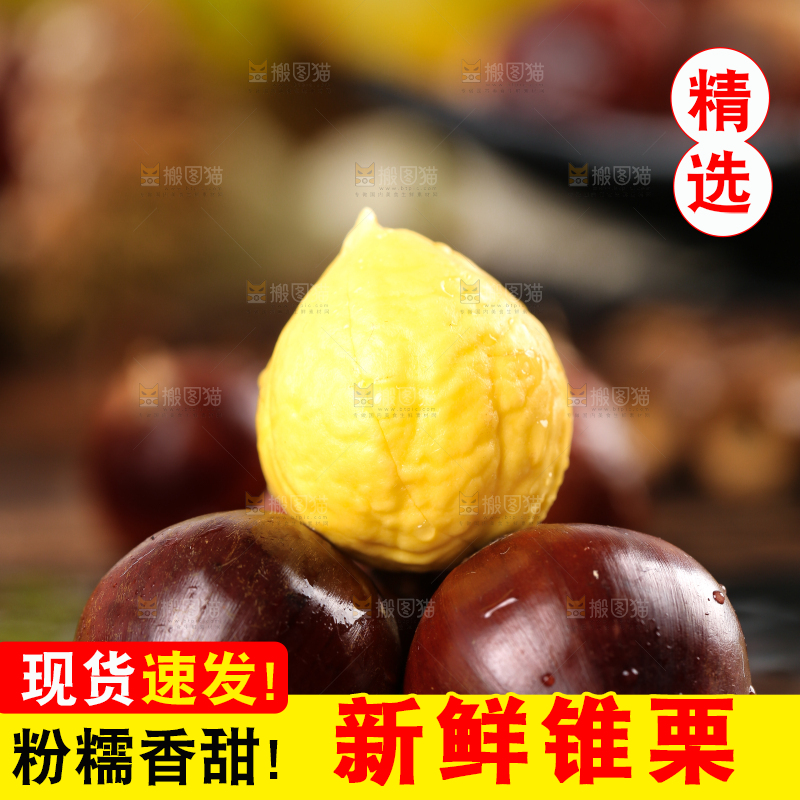 黑底上的栗子和锥栗仁