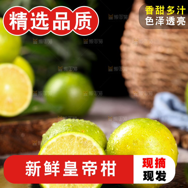 黑底上放着皇帝柑