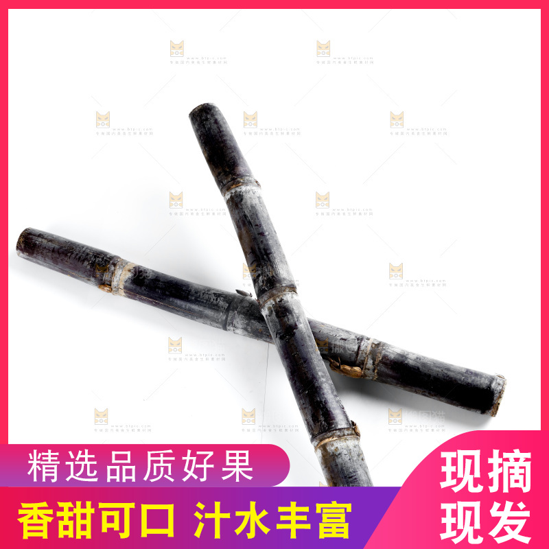 白底上的黑皮甘蔗
