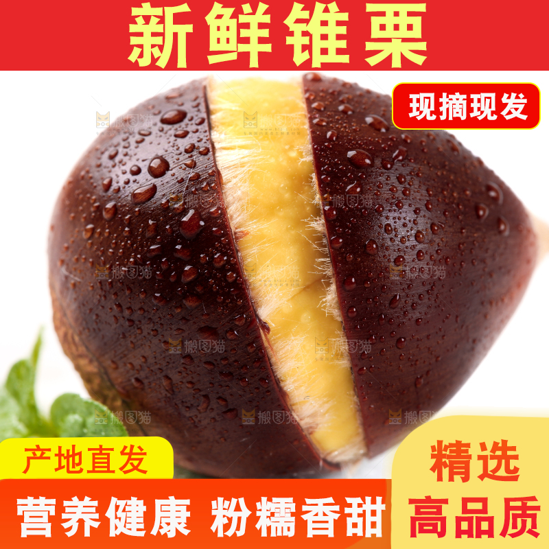白底上放着建瓯锥栗