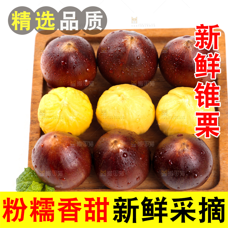 白底上一盘建瓯圆锥栗