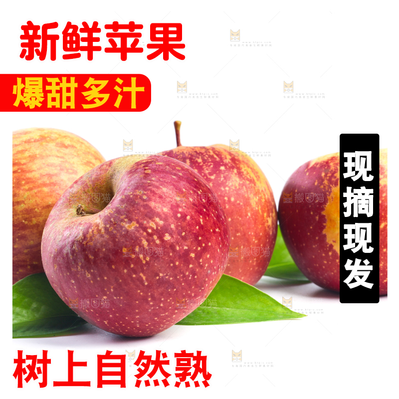 白底上的盐源丑苹果