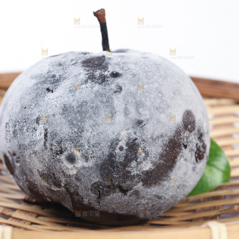 篮子里的黑冻梨