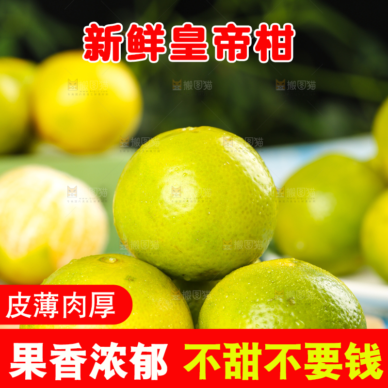 木板上一堆广西皇帝柑