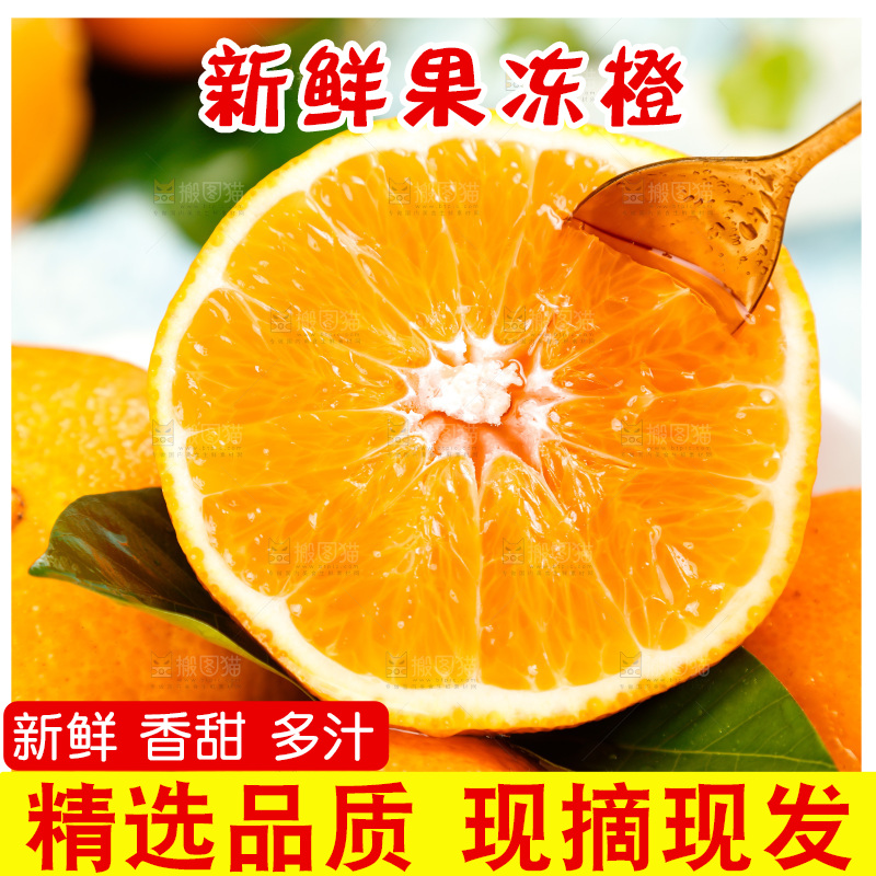 勺子上挖着爱媛果冻橙果肉