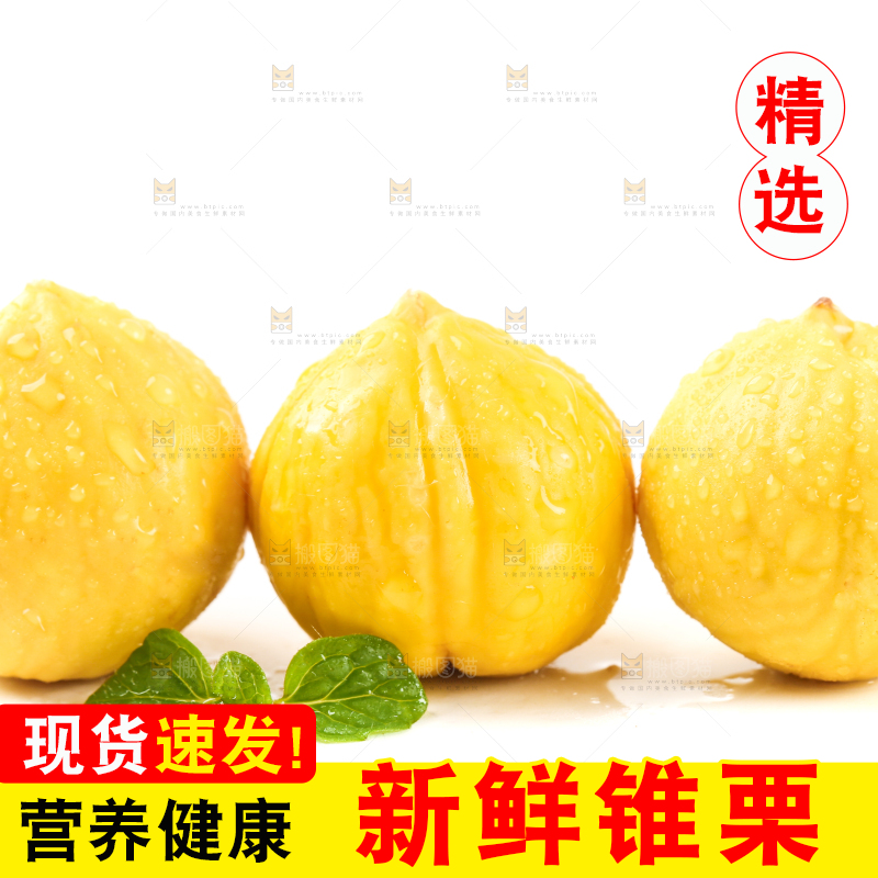 白底上放着锥栗仁