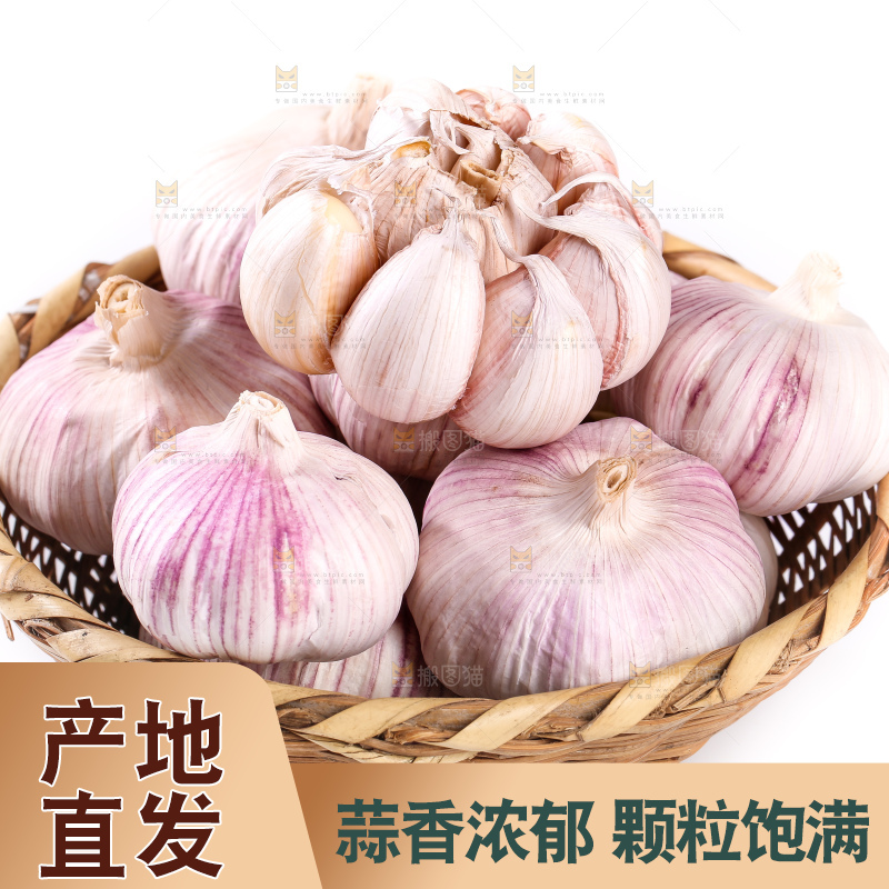 白底上放着一篮山东大蒜头