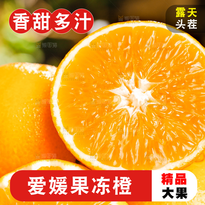一堆新鲜的爱媛果冻橙