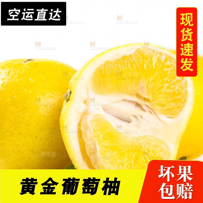 白底上的葡萄柚