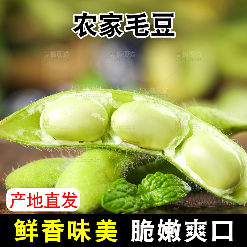 木底上的农家毛豆