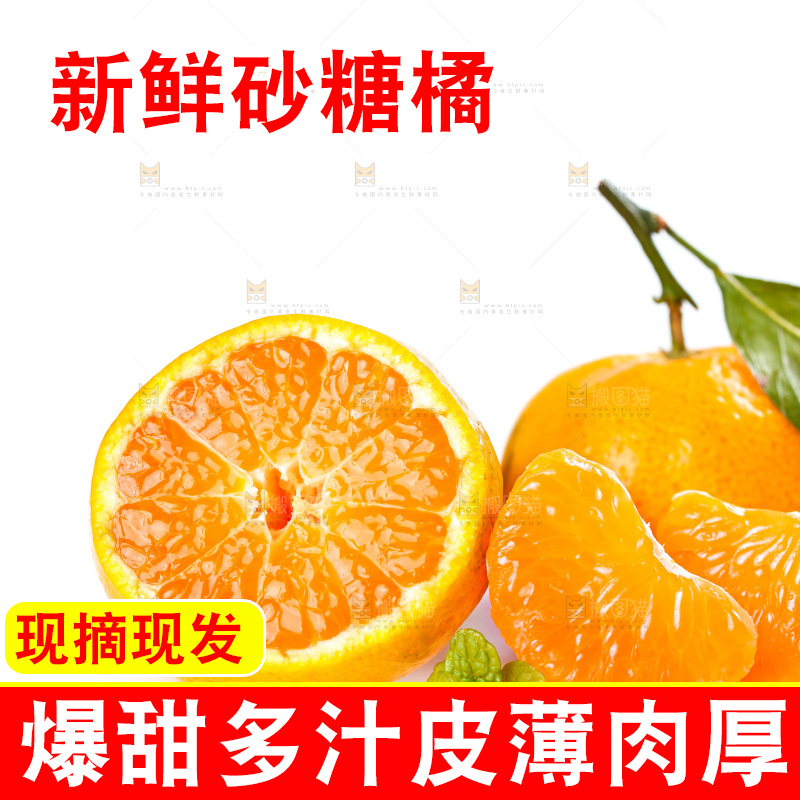 白底上的小蜜橘和蜜桔果肉