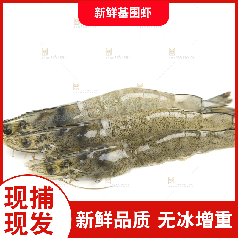 白底上放着新鲜基围虾