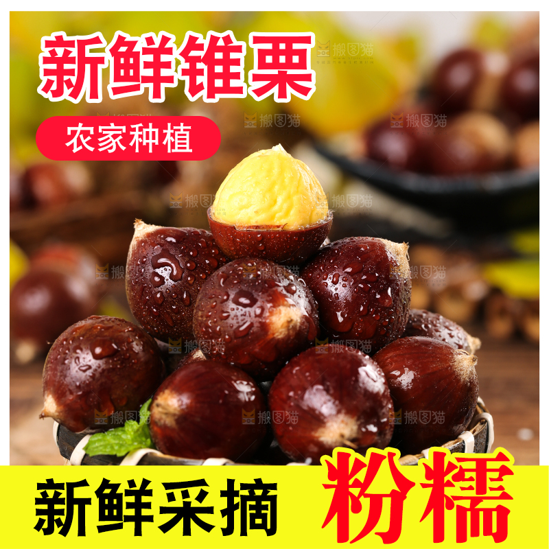 黑底上一篮建瓯锥栗