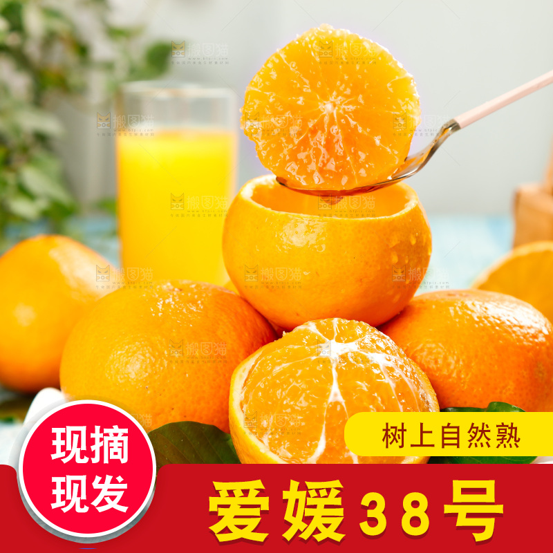 勺子上挖着爱媛果冻橙果肉