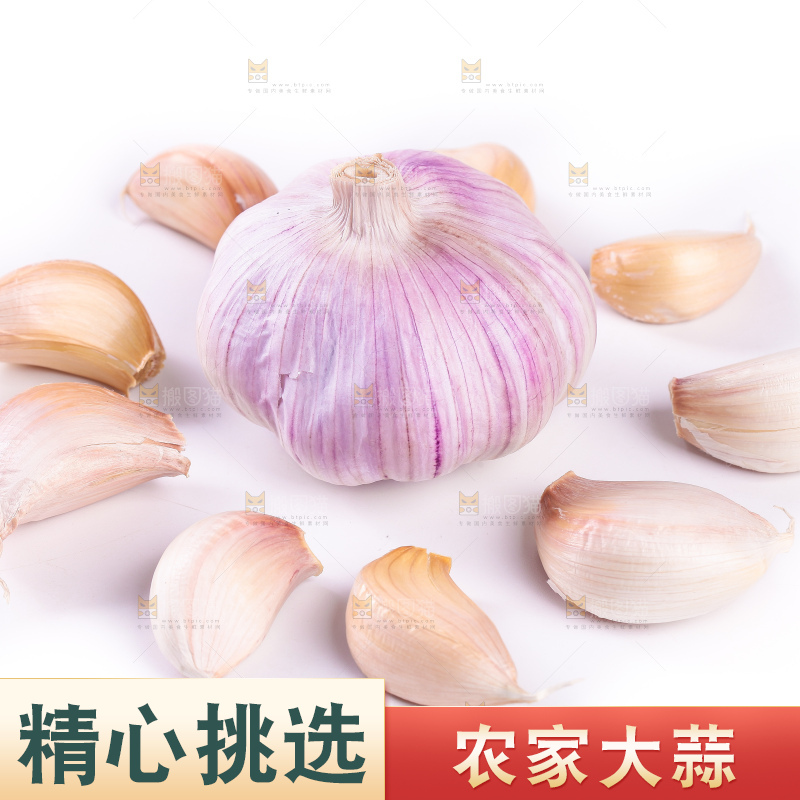 白底上的大蒜
