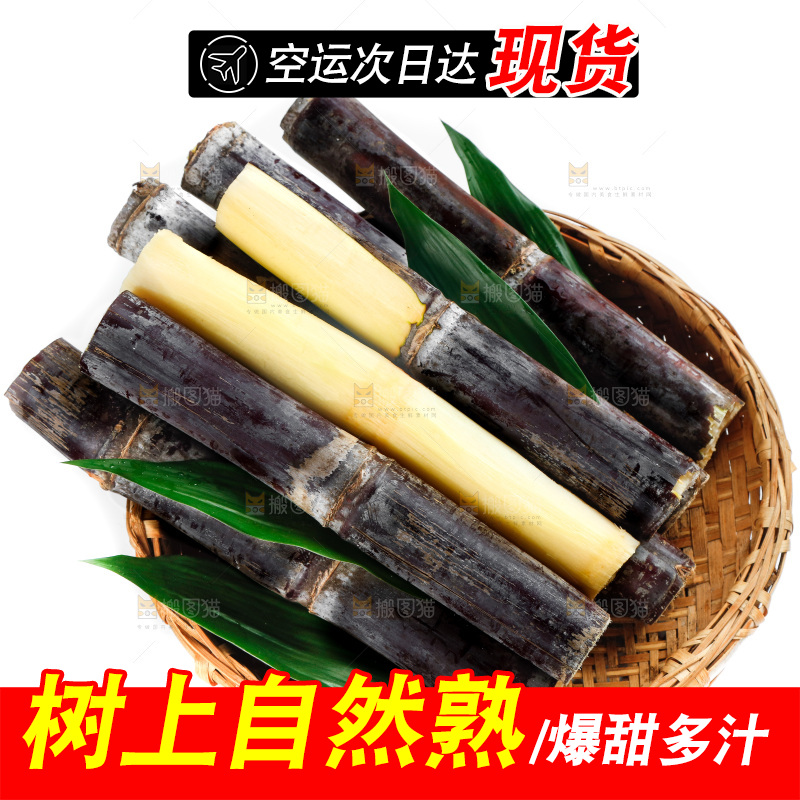 白底上篮子里的甘蔗