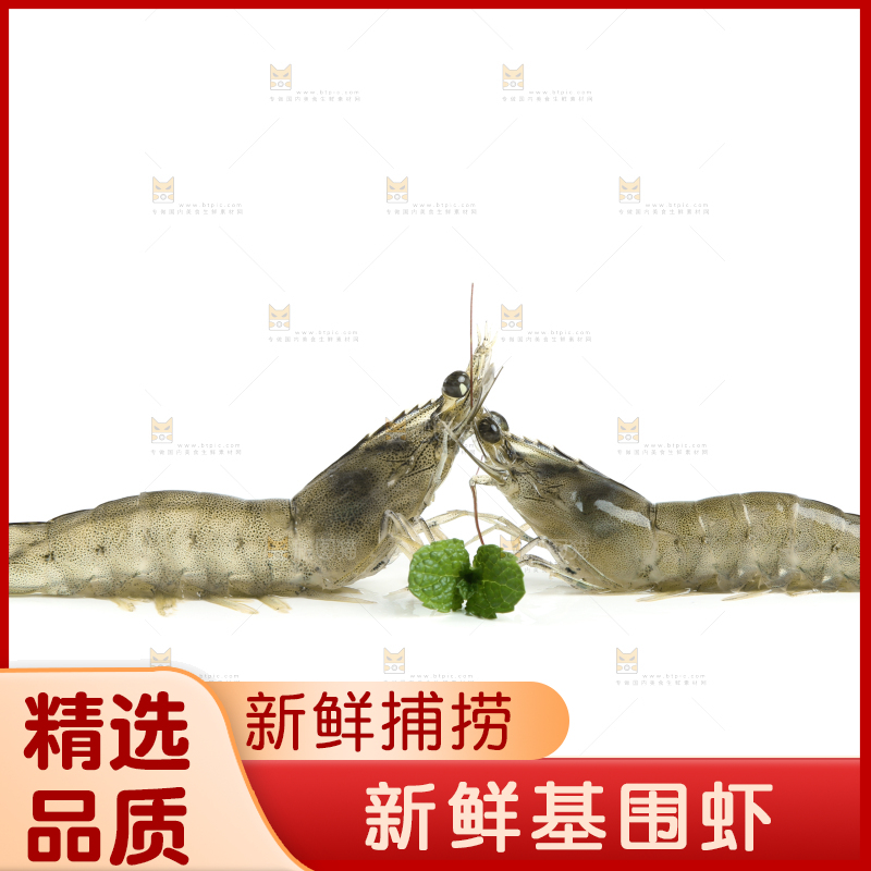 白底上的基围虾